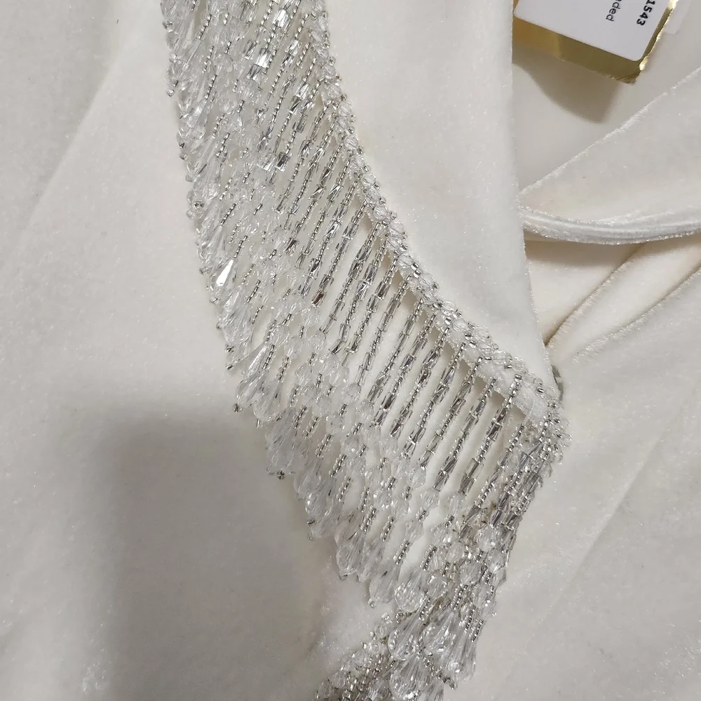 Patbo Velvet Beaded Blazer Dress - Picture 10 of 14